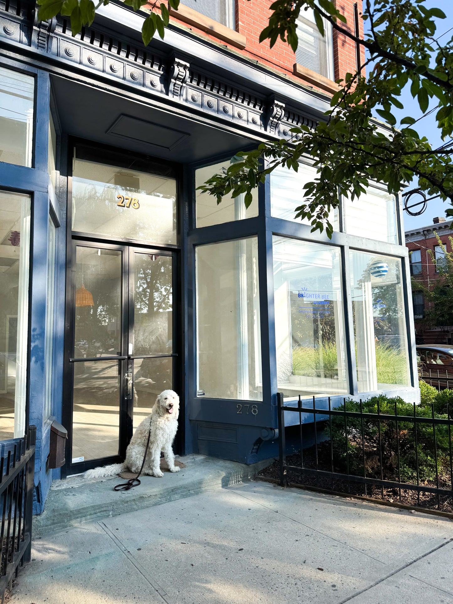 MJD Jersey City Studio Appointment