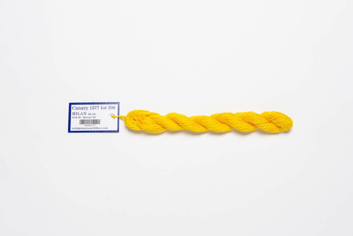Milan 1577 Canary