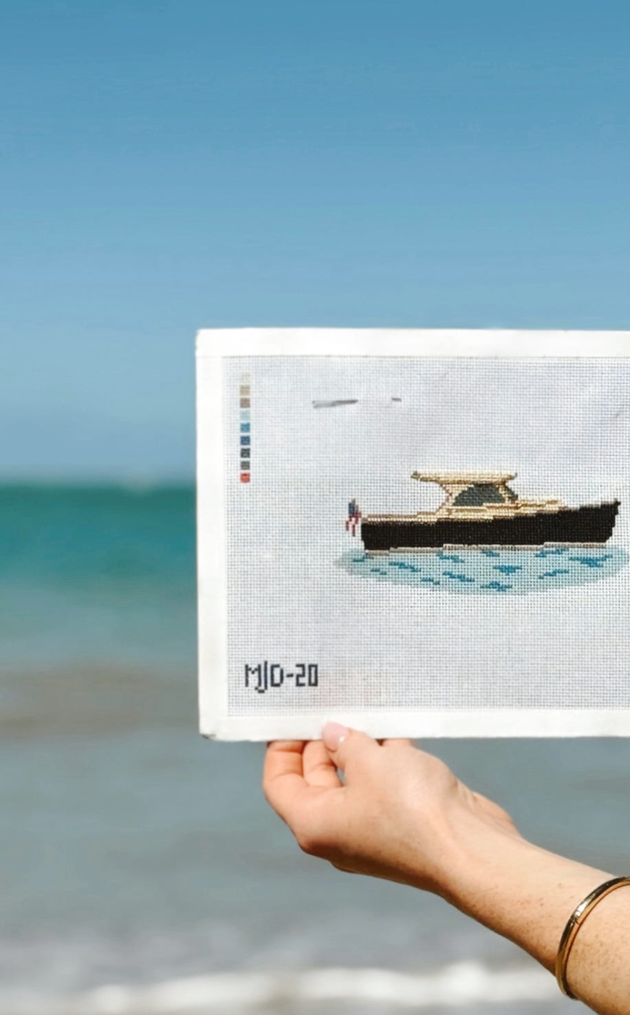 Picnic Boat